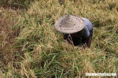 勞動節(jié)搞笑語錄2024五一勞動節(jié)搞笑祝福語大全