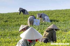 勞動節(jié)哲理微信2024勞動節(jié)哲理微信節(jié)日祝福語