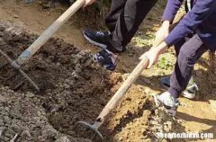 精選70條 2024勞動節(jié)客戶祝福語五一勞動節(jié)給客戶的短信祝福語