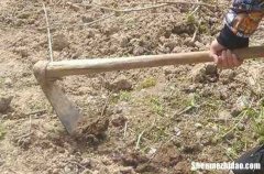 精選81條 2024勞動(dòng)節(jié)祝?？蛻舳绦盼逡粍趧?dòng)節(jié)給客戶的短信祝福語(yǔ)