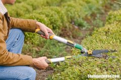 勞動(dòng)節(jié)給天堂父親的祝福語(yǔ)2024年勞動(dòng)節(jié)給天堂父親的祝福語(yǔ)10條