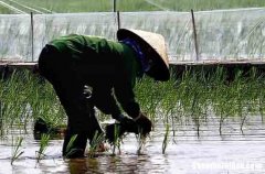 勞動節(jié)商務(wù)祝福短信2024勞動節(jié)商務(wù)祝福短信