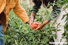 勞動節(jié)幽默祝福微信2024幽默五一勞動節(jié)祝福語