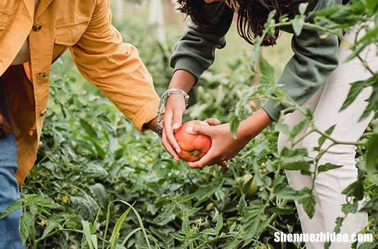 勞動(dòng)節(jié)幽默祝福微信2024幽默五一勞動(dòng)節(jié)祝福語