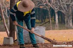 勞動節(jié)兒童祝福語2024勞動節(jié)兒童祝福語簡短2024