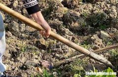 勞動節(jié)兒童祝福語2024勞動節(jié)兒童祝福語簡短