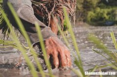 2024勞動(dòng)節(jié)祝福語動(dòng)態(tài)圖片勞動(dòng)節(jié)短信賀詞簡短