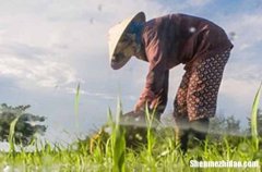 勞動(dòng)節(jié)物業(yè)祝福語2024物業(yè)五一勞動(dòng)節(jié)經(jīng)典語錄