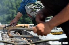 勞動(dòng)節(jié)祝福短信經(jīng)典分享2024勞動(dòng)節(jié)祝福短信經(jīng)典分享文案