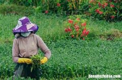 2024勞動(dòng)節(jié)的簡單祝福語2024勞動(dòng)節(jié)問候語大全簡短