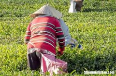 勞動節(jié)祝福語英文2024五一勞動節(jié)英語祝福語用英語怎么說