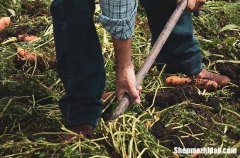 勞動節(jié)賀卡經(jīng)典祝福語大全2024勞動節(jié)賀卡經(jīng)典祝福語大全簡短