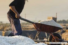 勞動節(jié)溫馨祝福短信 2024勞動節(jié)祝福的話語句句暖人心