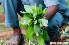 勞動節(jié)發(fā)給客戶的祝福語2024發(fā)給客戶的51勞動節(jié)群發(fā)祝福賀詞