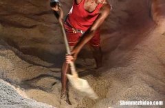 五一勞動節(jié)簡短祝福語2024五一勞動節(jié)的優(yōu)美句子