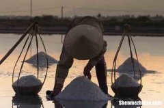 2024五一勞動節(jié)獻(xiàn)給老師的祝福語給勞動老師的教師節(jié)祝福語