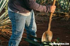 五一勞動節(jié)的祝福語客戶2024送給客戶的五一祝福短信大全