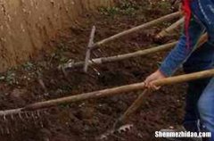 五一勞動節(jié)對客戶祝福語2024寫給客戶勞動節(jié)的祝福語合集