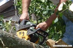 五一勞動節(jié)的祝福語客戶2024五一勞動節(jié)給客戶的問候語