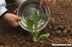 五一勞動節(jié)對客戶祝福語2024勞動節(jié)對客戶的祝福語簡單的