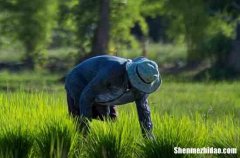 五一勞動節(jié)的祝福語客戶2024給客戶的五一勞動節(jié)祝福句子大全