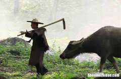 2024五一勞動節(jié)搞笑祝福語勞動節(jié)搞笑祝福語精選