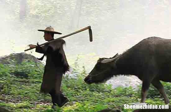 2024五一勞動(dòng)節(jié)搞笑祝福語(yǔ)勞動(dòng)節(jié)搞笑祝福語(yǔ)精選