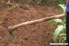 2024五一勞動節(jié)短信勞動節(jié)短信祝福好友