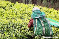 2024年勞動(dòng)節(jié)客戶(hù)祝福語(yǔ)大全 ?？蛻?hù)五一快樂(lè)祝福短信大全