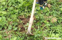 2024年勞動節(jié)搞笑微信五一勞動節(jié)微信搞笑說說