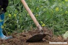 2024年勞動節(jié)勵志祝福語 勞動者的勵志短句