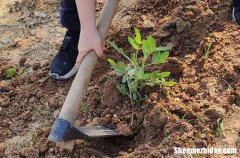 勞動(dòng)節(jié)微信祝福語大全2024五一勞動(dòng)節(jié)微信祝福語大全