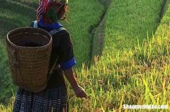 勞動(dòng)節(jié)員工祝福微信2024節(jié)日給員工的節(jié)日祝福