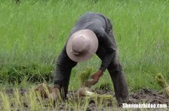 勞動節(jié)搞笑祝福微信2024勞動節(jié)搞笑祝福語精選