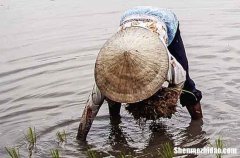 2024勞動(dòng)節(jié)祝福微信慶祝五一勞動(dòng)節(jié)的微信祝福語(yǔ)