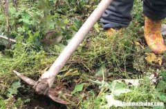 勞動節(jié)送客戶的祝福語2024五一勞動節(jié)送給客戶的祝福語