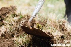 勞動(dòng)節(jié)醫(yī)務(wù)祝福語(yǔ)2024五一勞動(dòng)節(jié)對(duì)醫(yī)生的祝福語(yǔ)