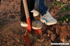 勞動(dòng)節(jié)醫(yī)務(wù)祝福語(yǔ)2024給五一勞動(dòng)節(jié)醫(yī)生的祝福語(yǔ)