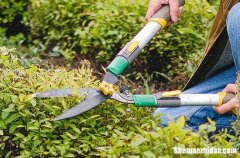 勞動(dòng)節(jié)祝福語30字以內(nèi)2024勞動(dòng)節(jié)祝福語精選簡短