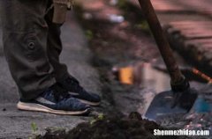 2024勞動節(jié)祝福語五一勞動節(jié)祝福好句