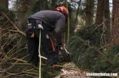 2024年勞動節(jié)祝福語大全 2024五一勞動節(jié)暖心祝福語大全