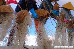 2024勞動節(jié)簡短祝福語最新勞動節(jié)的祝福語大全