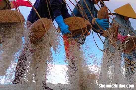 2024勞動節(jié)簡短祝福語最新勞動節(jié)的祝福語大全