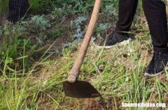 2024五一勞動(dòng)節(jié)微信短信祝福給朋友領(lǐng)導(dǎo)五一勞動(dòng)節(jié)祝福語送領(lǐng)導(dǎo)