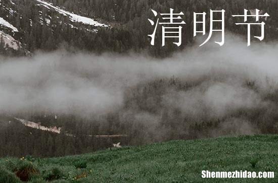 2024清明养生注意事项 清明节养生各方面注意忌宜