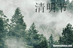 清明節(jié)的溫馨祝福語(yǔ)2024清明節(jié)溫馨祝福語(yǔ)