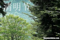 清明節(jié)安康祝福語(yǔ)2024清明節(jié)問(wèn)候安康