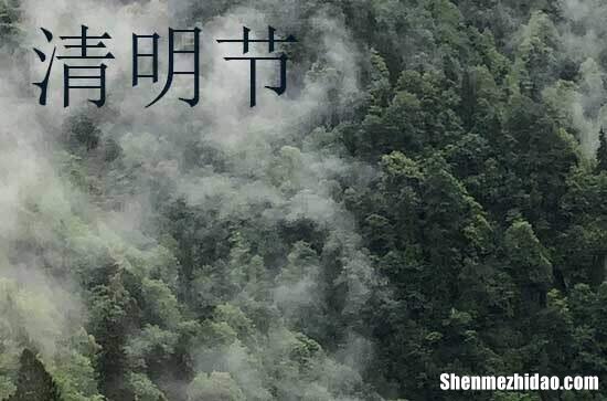 清明節(jié)節(jié)日祝福語2024傳統(tǒng)節(jié)日清明節(jié)祝福語