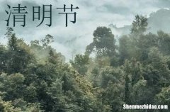 2024年清明節(jié)祝福短信清明節(jié)問(wèn)候語(yǔ)短信摘錄