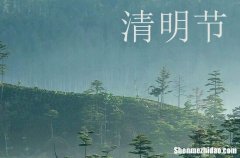 2024年清明節(jié)微信創(chuàng)意祝福文案說(shuō)說(shuō) 清明節(jié)好朋友問(wèn)候短信